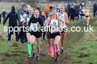 Womens Under-17s 2024 Northern Cross Country Champs., Sedgefield. Photo: David T. Hewitson/Sports for All Pics